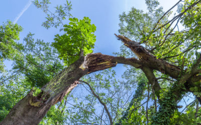 Preparing for Storm Season: Storm & Cyclone Damage & Insurance Claims Gold Coast