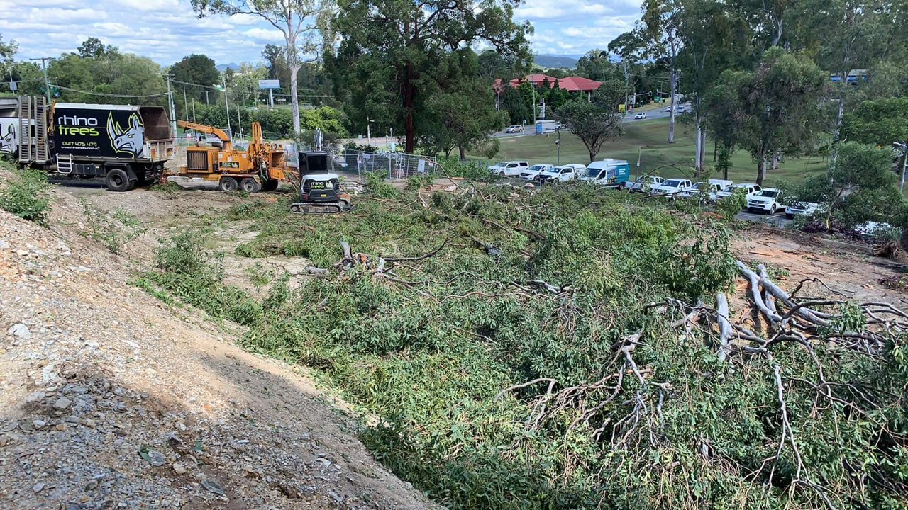 land clearing large area tree removal gold coast