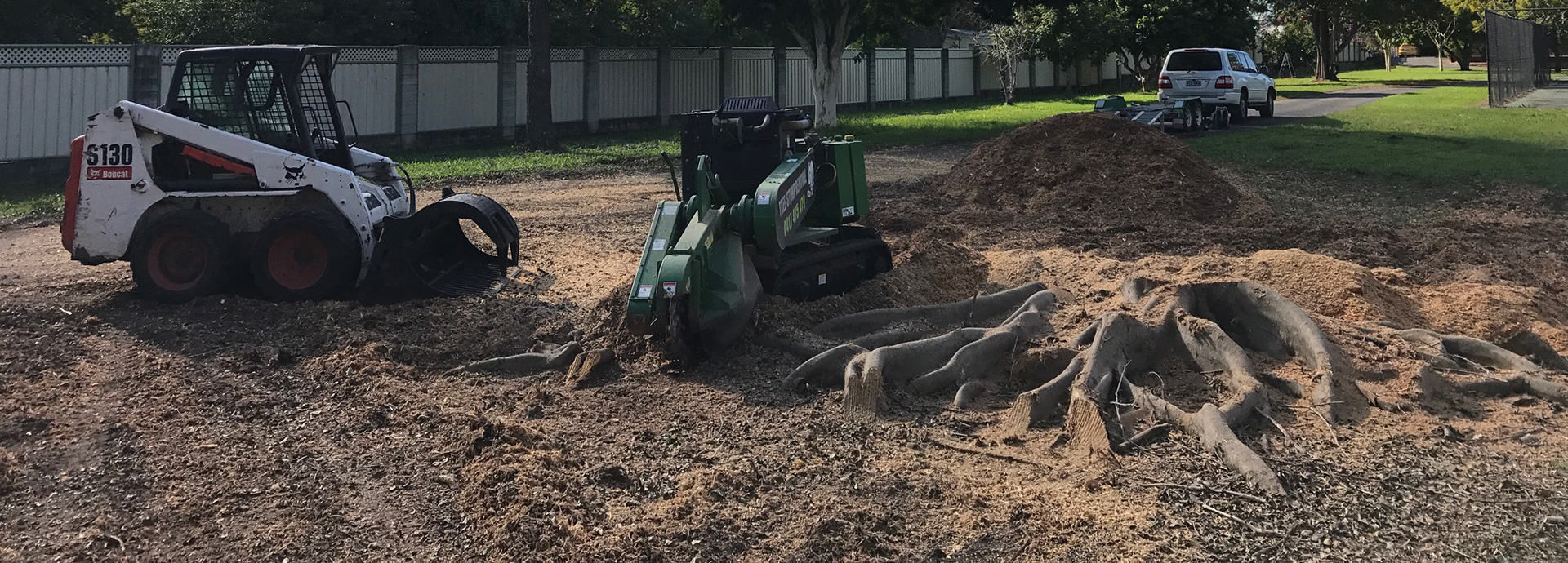 stump grinding service gold coast hinterland