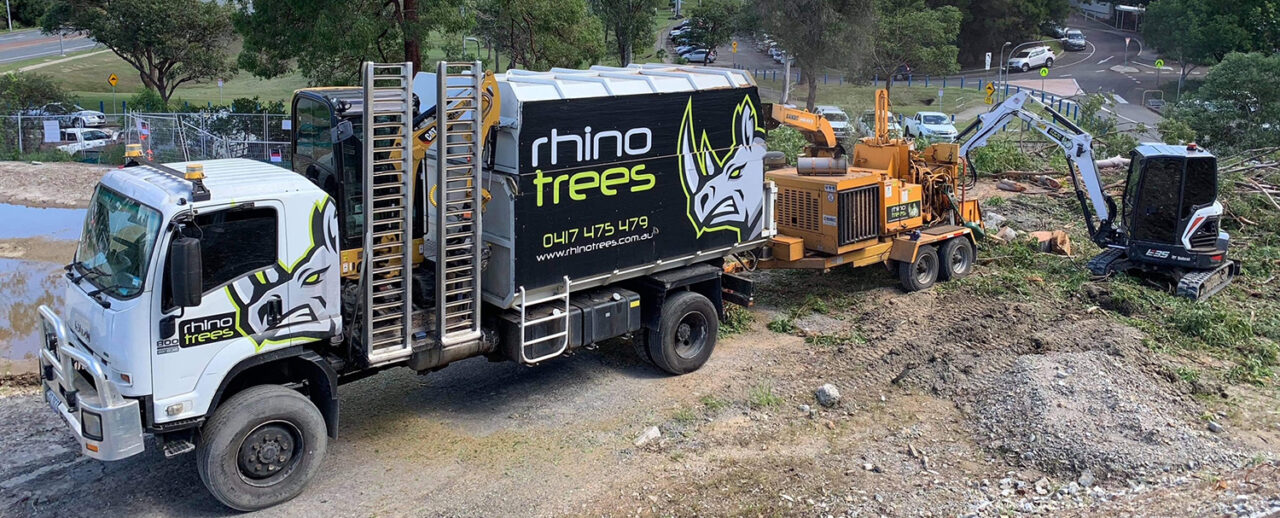 Tree removal service for the Gold Coast & Hinterland